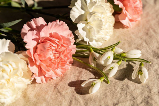 Pink and white carnations with fresh snowdrops on a linen surface — January birth flowers