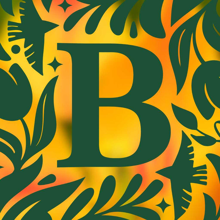 Blooming Checkout Digital Marketing Company Plans