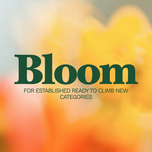 Bloom logo with the text ‘For established ready to climb new categories’ on a soft yellow and orange blurred background