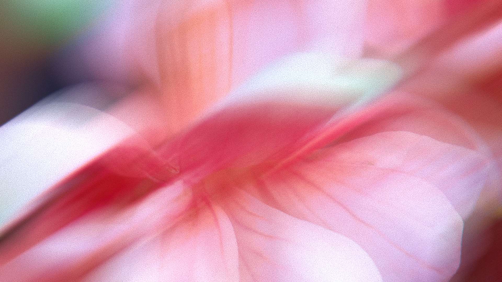 Close-up of a hand holding pink fabric with blurred background