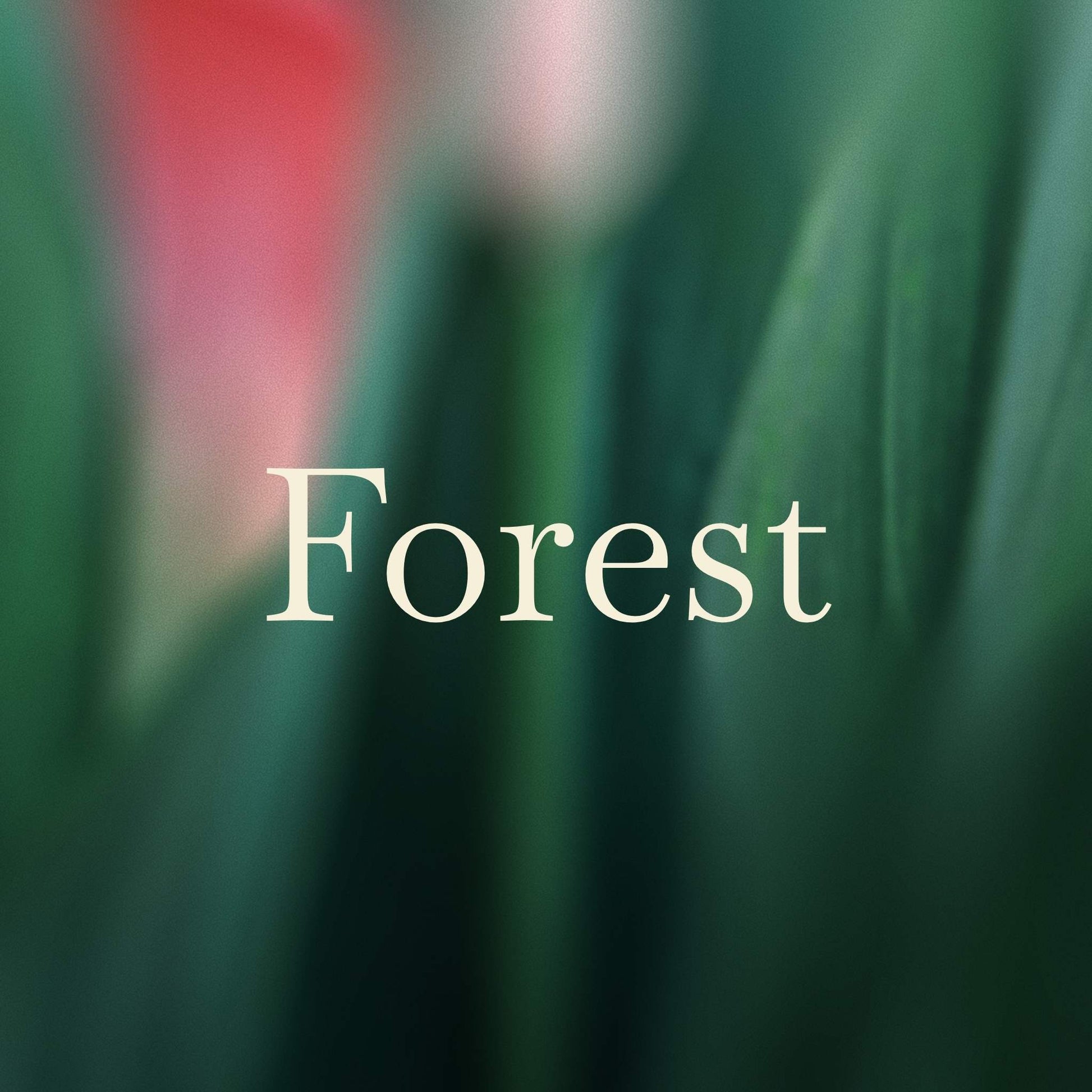 Text 'Forest' on a blurred green background