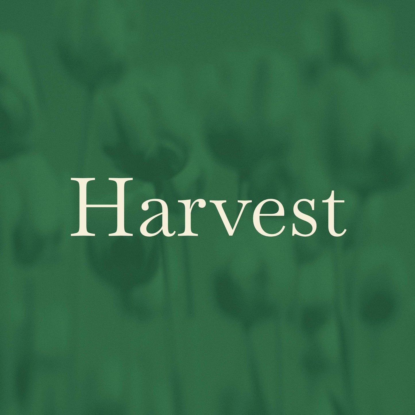 Text 'Harvest' on a blurred green background