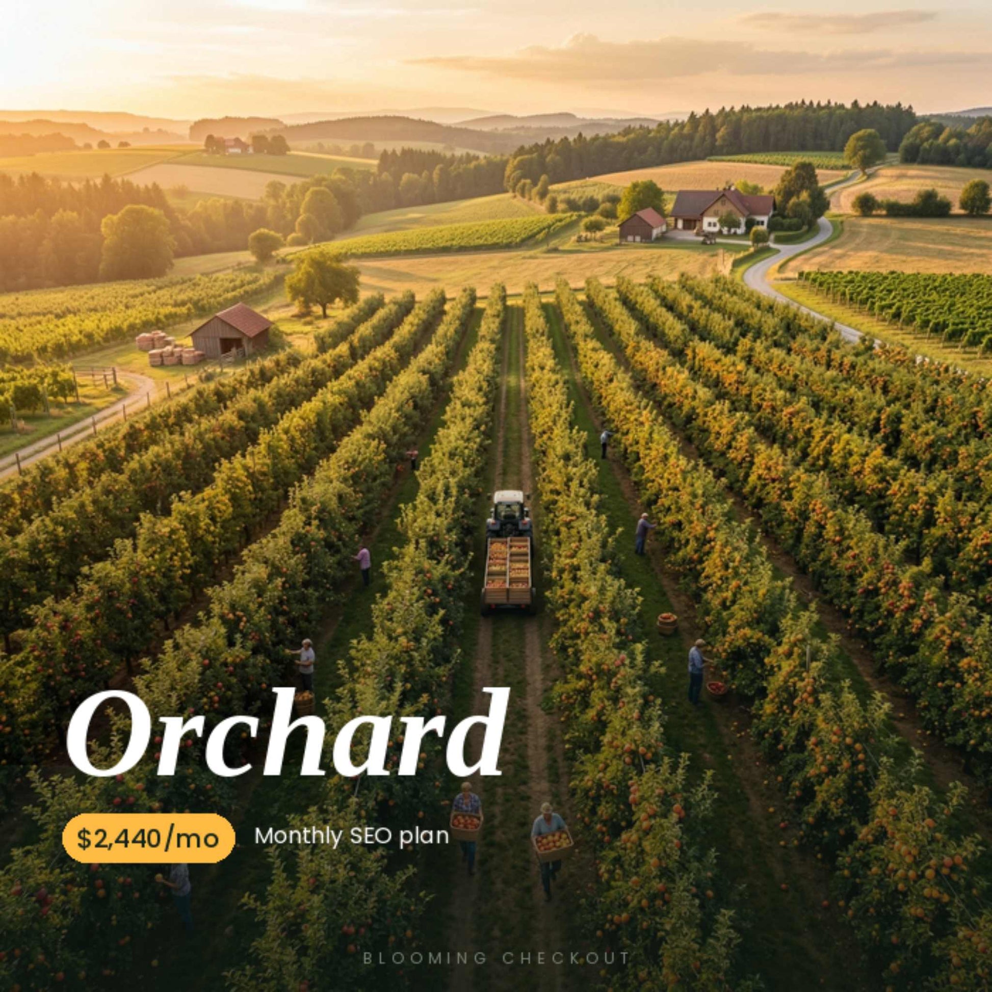 Aerial view of an orchard with rows of trees and a tractor, with text overlay about an SEO plan.