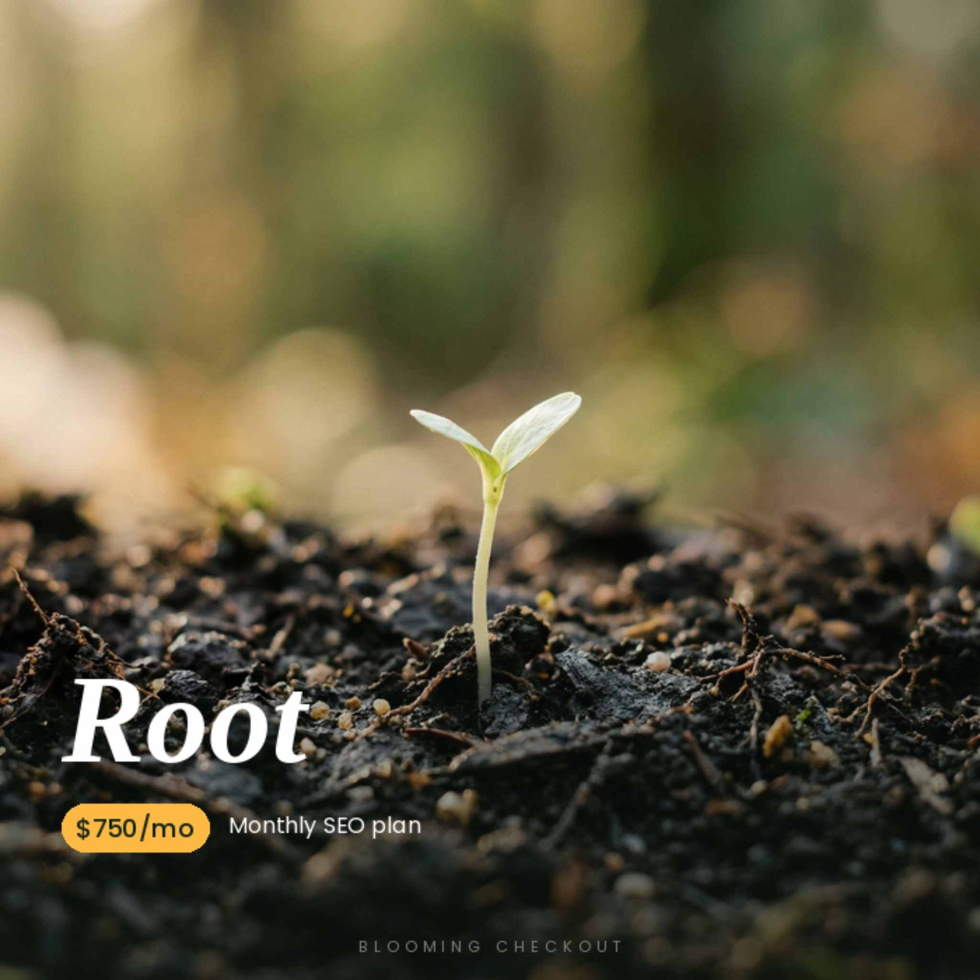 Plant reaching out from the earth with the word root