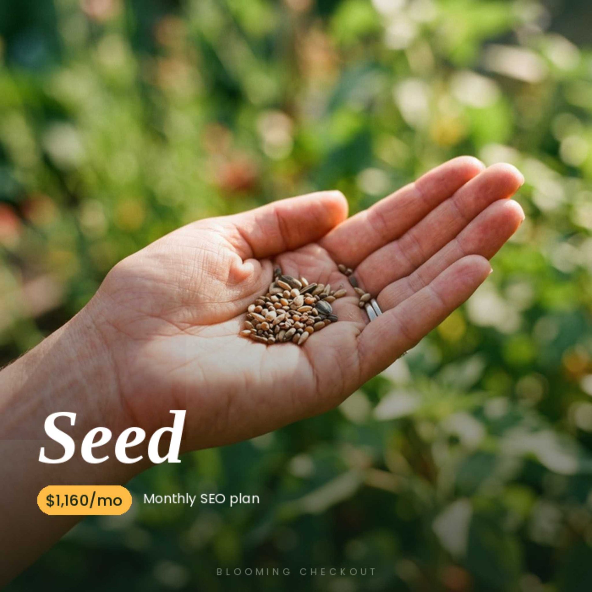 Women's hand holding seeds gently with the word Seed