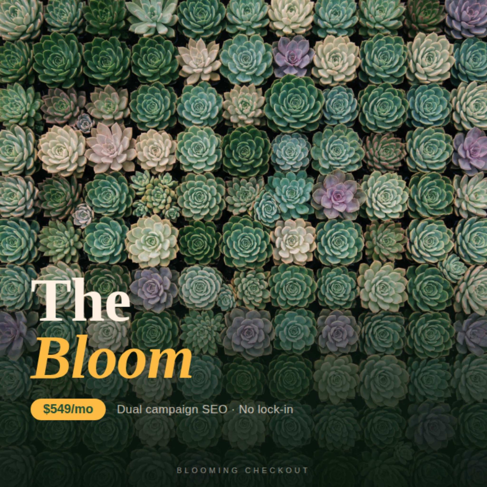 Pattern of succulent plants with 'The Bloom' text overlay on a dark background