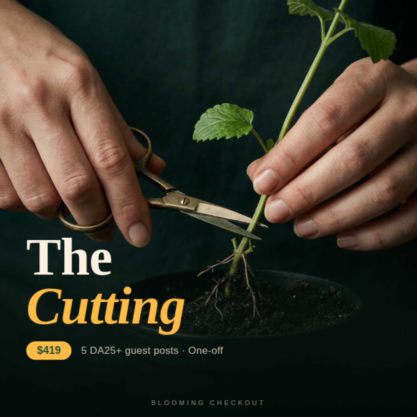Person cutting a plant with scissors against a dark background