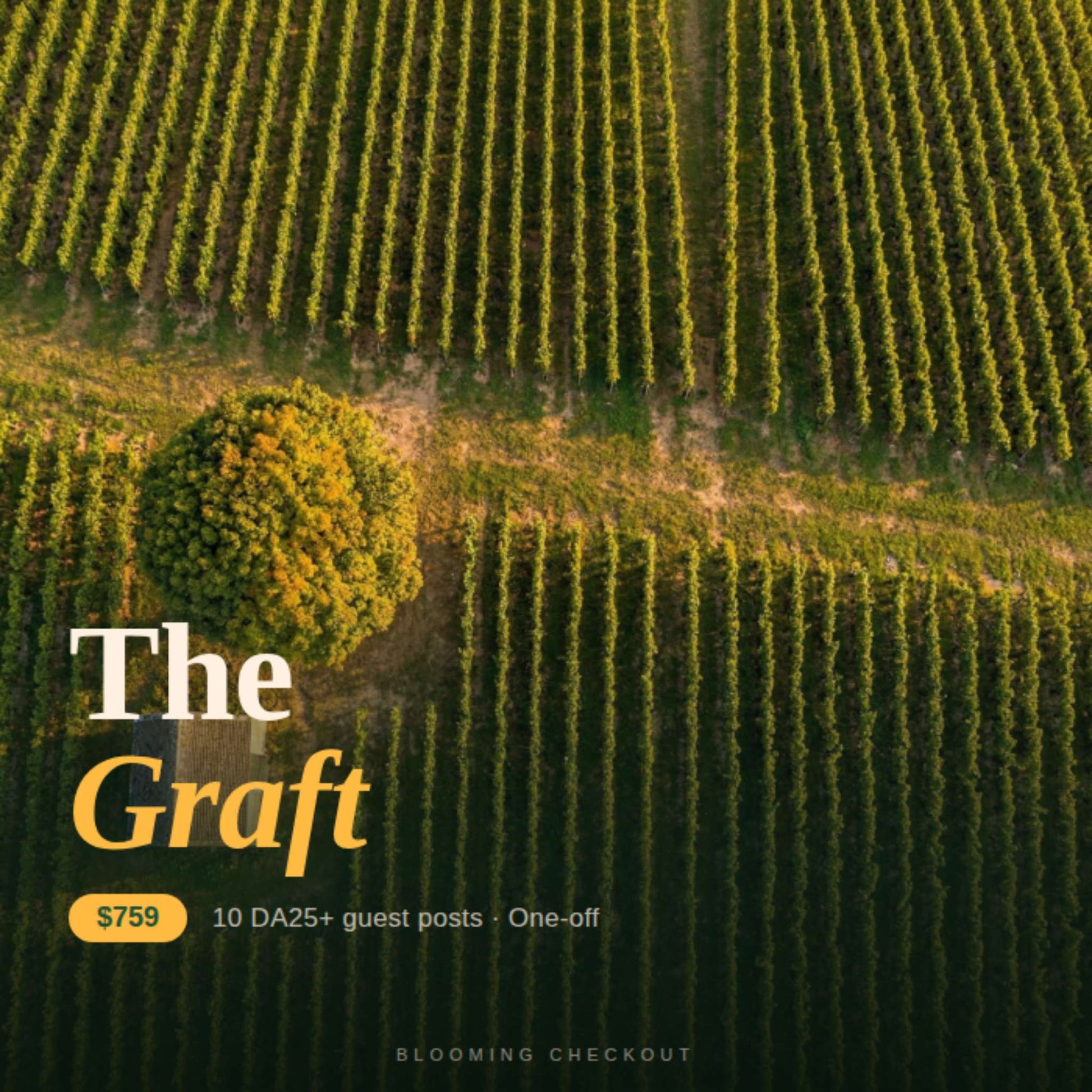 Aerial view of a vineyard with 'The Graft' advertisement overlay.