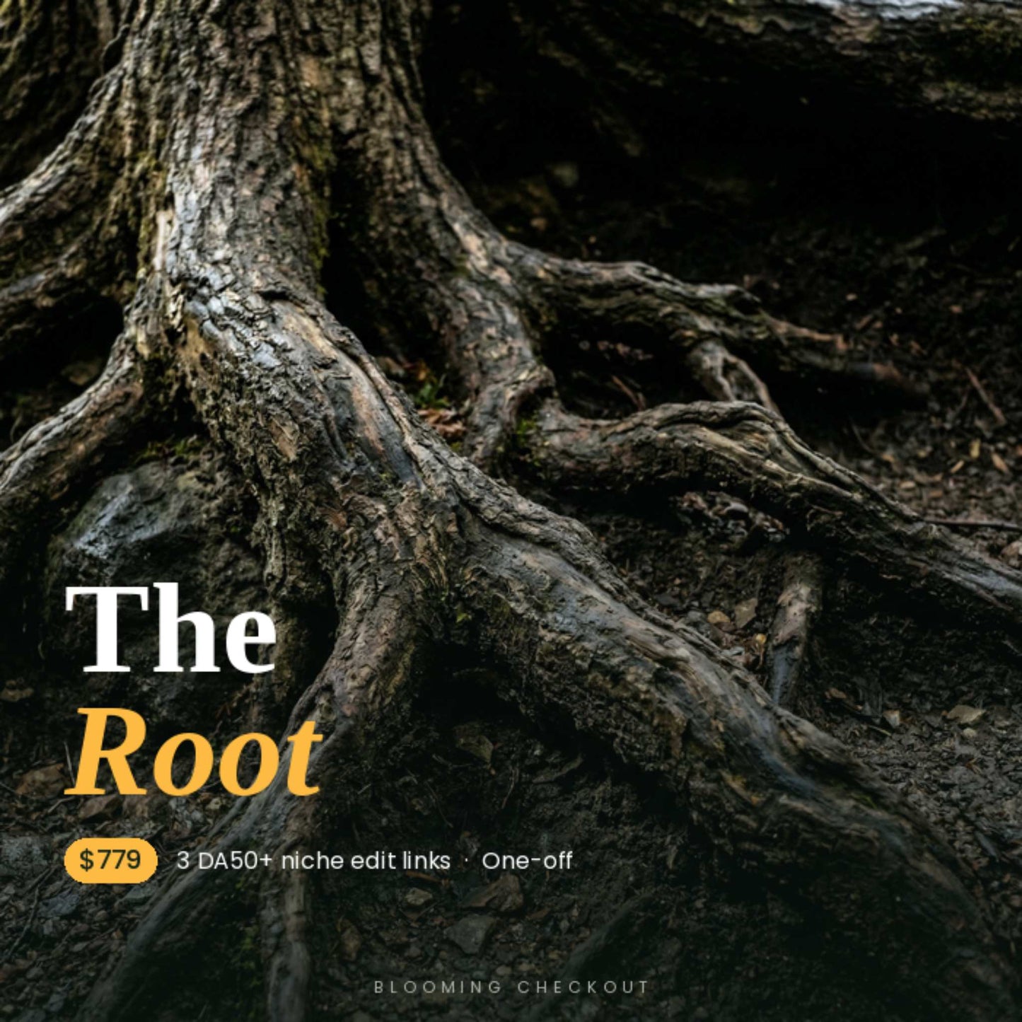 Close-up of tree roots with text overlay on a dark background