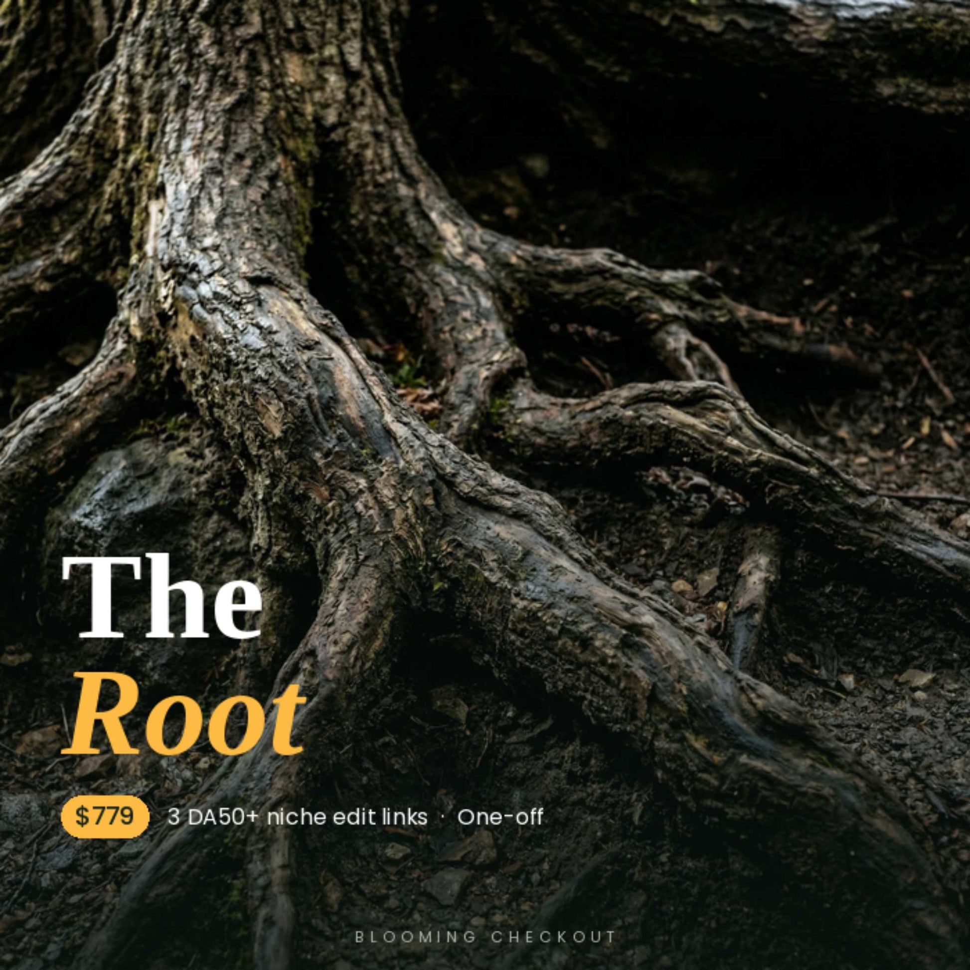 Close-up of tree roots with text overlay on a dark background
