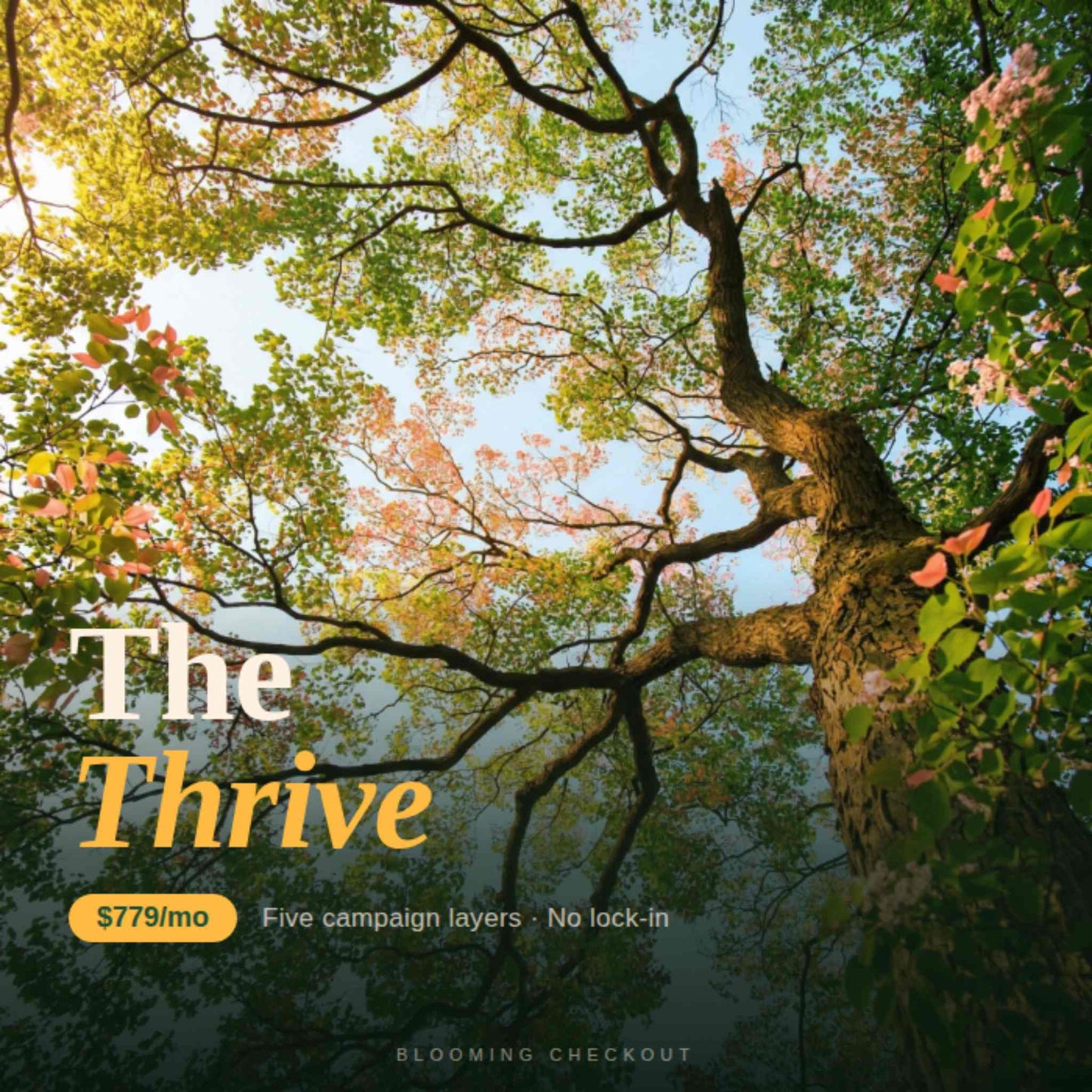 Tree with colorful leaves and 'The Thrive' branding overlay