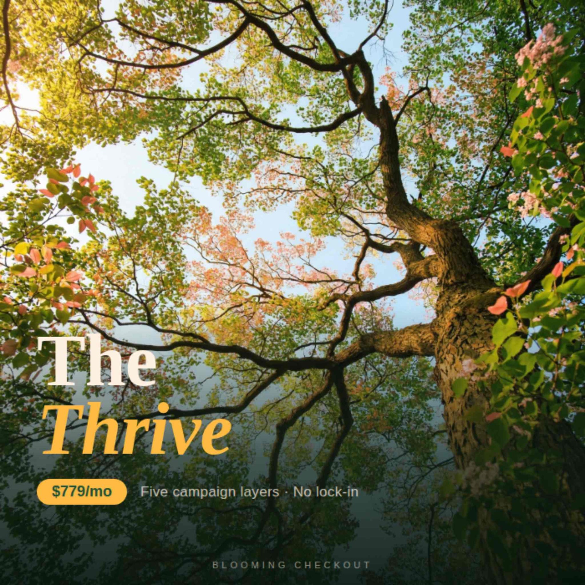 Tree with colorful leaves and 'The Thrive' branding overlay