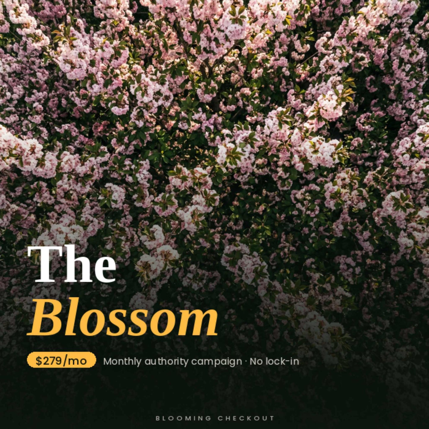 Floral background with text overlay for a monthly authority campaign offer.