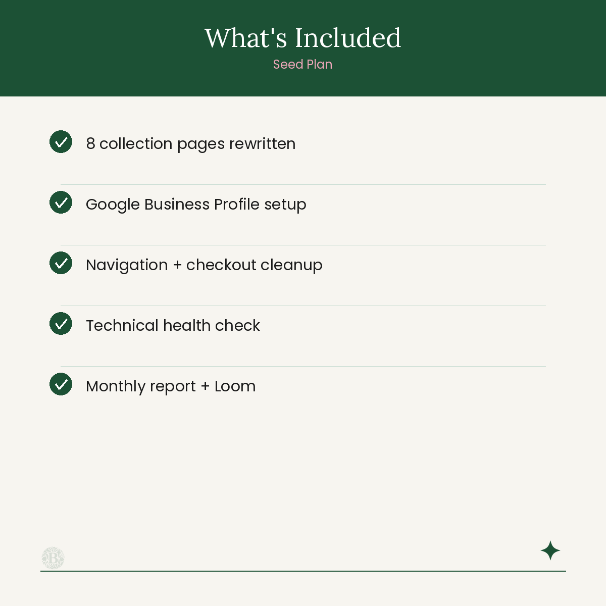 List of included services with green checkmarks on a white background